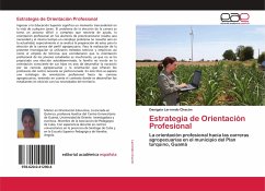 Estrategia de Orientación Profesional