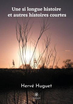 Une si longue histoire et autres histoires courtes - Huguet, Hervé