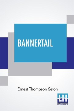 Bannertail - Seton, Ernest Thompson