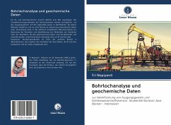 Bohrlochanalyse und geochemische Daten - Nopiyanti, Tri