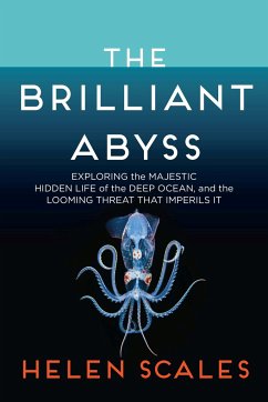 The Brilliant Abyss - Scales, Helen