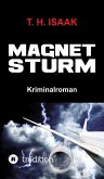 MAGNETSTURM (eBook, ePUB)