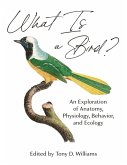 What Is a Bird? (eBook, ePUB)
