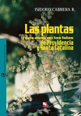 Las plantas y sus usos en las islas de Providencia y Santa Catalina (eBook, PDF)