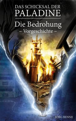 Das Schicksal der Paladine (eBook, ePUB) - Benne, Jörg