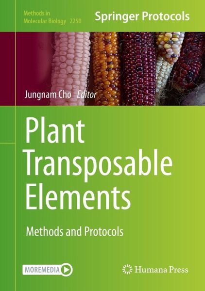 Plant Transposable Elements