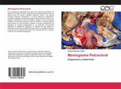 Meningioma Petroclival