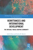 Remittances and International Development (eBook, PDF)