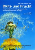 Blüte und Frucht (eBook, PDF)