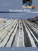 Steinland-Pfalz (eBook, PDF)