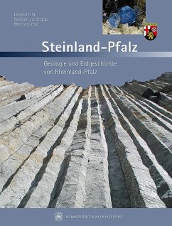 Cover Steinland-Pfalz (eBook, PDF)