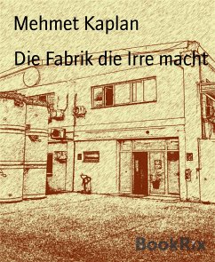 Die Fabrik die Irre macht (eBook, ePUB) - Kaplan, Mehmet