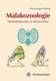 Malakozoologie (eBook, PDF)