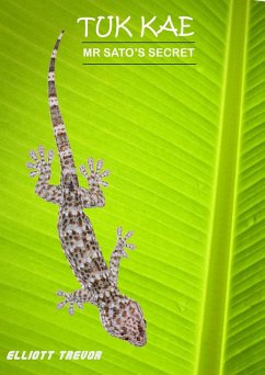 Cover Tuk Kae - Mr Sato's Secret (Tuk Kae Series, #1) (eBook, ePUB)