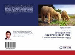 Strategic herbal supplementation in sheep