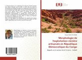 Morphologie de l'exploitation minière artisanale en République Démocratique du Congo