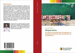 Cover Megaprojetos