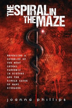 Cover The Spiral in the Maze (eBook, ePUB)