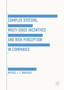 Complex Systems, Multi-Sided Incentives and Risk Perception in Companies (eBook, PDF)