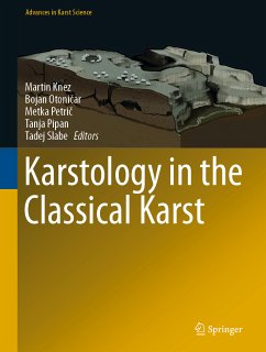 Karstology in the Classical Karst (eBook, PDF)