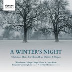 A Winter'S Night