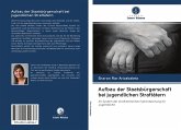 Aufbau der Staatsbürgerschaft bei jugendlichen Straftätern