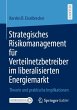 Strategisches Risikomanagement für... - Bild 1