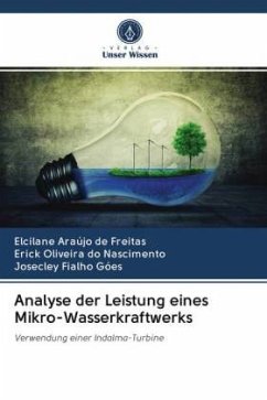 Analyse der Leistung eines Mikro-Wasserkraftwerks - Araújo de Freitas, Elcilane;Oliveira do Nascimento, Erick;Fialho Góes, Josecley