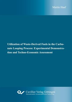 Utilization of Waste-Derived Fuels in the Carbonate Looping Process: Experimental Demonstration and Techno-Economic Assessment - Haaf, Martin