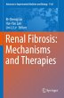 Renal Fibrosis: Mechanisms and Therapies - Bild 1