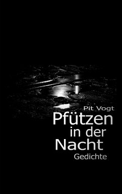 Pfützen in der Nacht (eBook, ePUB)