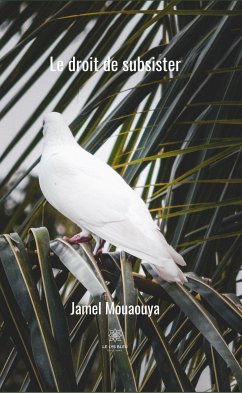 Le droit de subsister (eBook, ePUB) - Mouaouya, Jamel