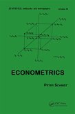Econometrics (eBook, ePUB)