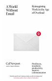 A World Without Email (eBook, ePUB)