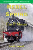 Rebel Spring- Cat and Mouse (Seasons of the Confederacy, #1.6) (eBook, ePUB)