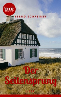 Der Seitensprung (eBook, ePUB) - Schreiber, Bernd