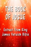 The Book of Josue (eBook, ePUB)
