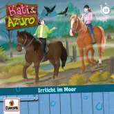 Folge 19: Irrlicht im Moor (MP3-Download)