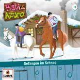 Folge 11: Gefangen im Schnee (MP3-Download)