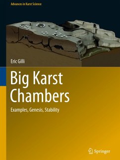 Big Karst Chambers - Gilli, Eric