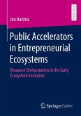 Public Accelerators in Entrepreneurial Ecosystems