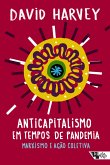Anticapitalismo em tempos de pandemia (eBook, ePUB)