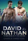 David & Nathan - Return to Me, Be My One And Only (eBook, ePUB)