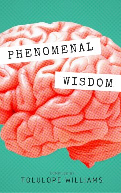 Phenomenal Wisdom (eBook, ePUB) - Williams, Tolulope