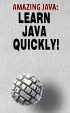 Amazing Java (eBook, ePUB)