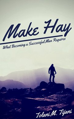 Make Hay (eBook, ePUB) - Tijani, Tolani M.