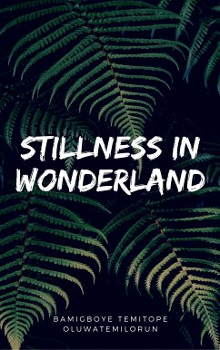 Stillness In Wonderland (eBook, ePUB) - Oluwatemilorun, Bamigboye Temitope