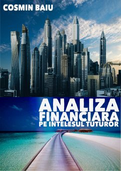 Analiza Financiara pe intelesul tuturor (eBook, ePUB) - Baiu, Cosmin