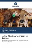 Matrix-Metalloproteinasen im Sperma