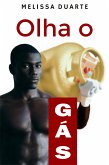 Olha o gás (eBook, ePUB)